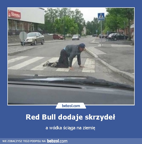 Red Bull dodaje skrzydeł 