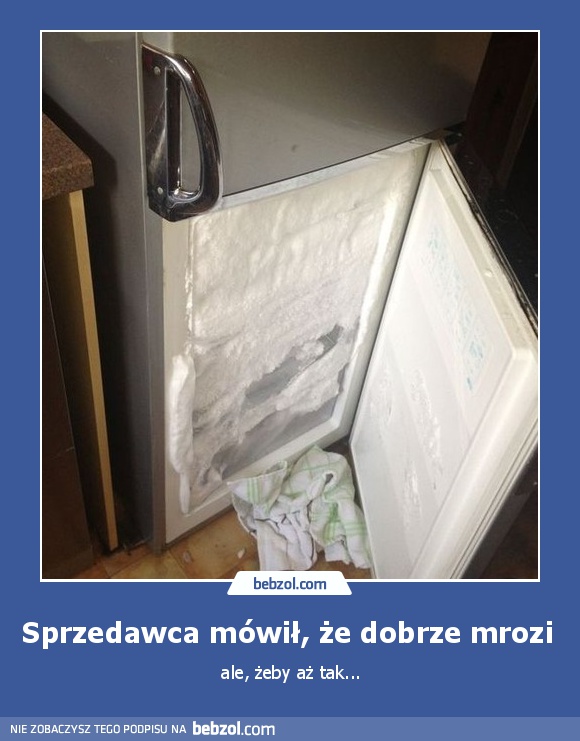 Sprzedawca mówił, że dobrze mrozi 