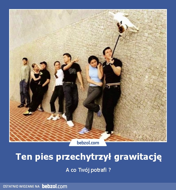 Ten pies przechytrzył grawitację