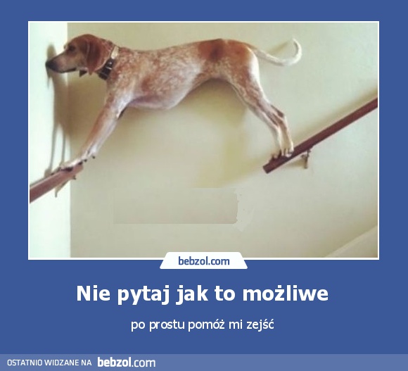 Nie pytaj jak to możliwe 