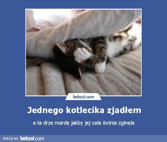 Jednego kotlecika zjadłem