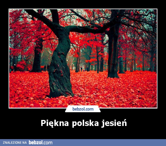 Piękna polska jesień