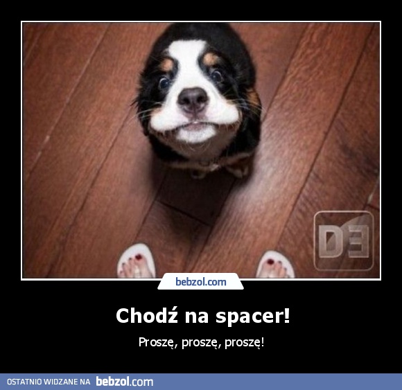 Chodź na spacer!