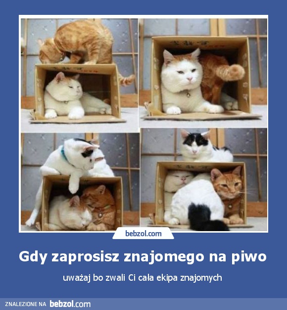 Gdy zaprosisz znajomego na piwo 