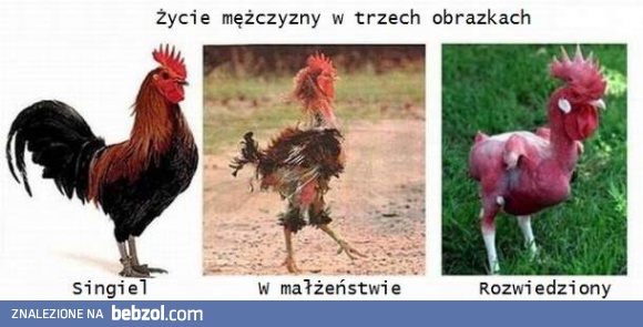 Życie mężczyzny w 3 obrazkach