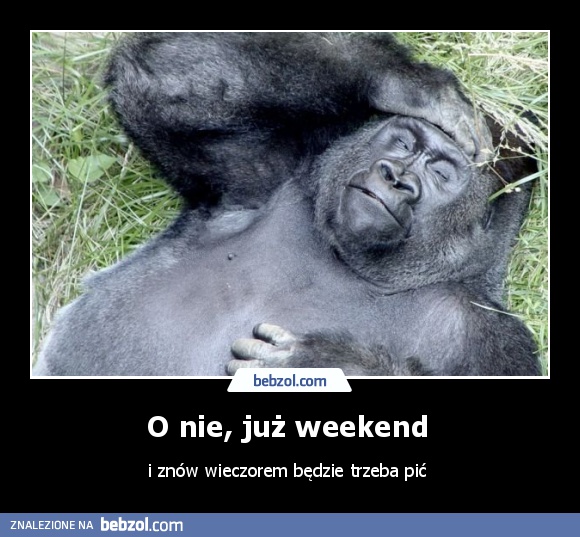 O nie, już weekend 