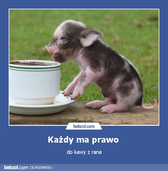 Każdy ma prawo 