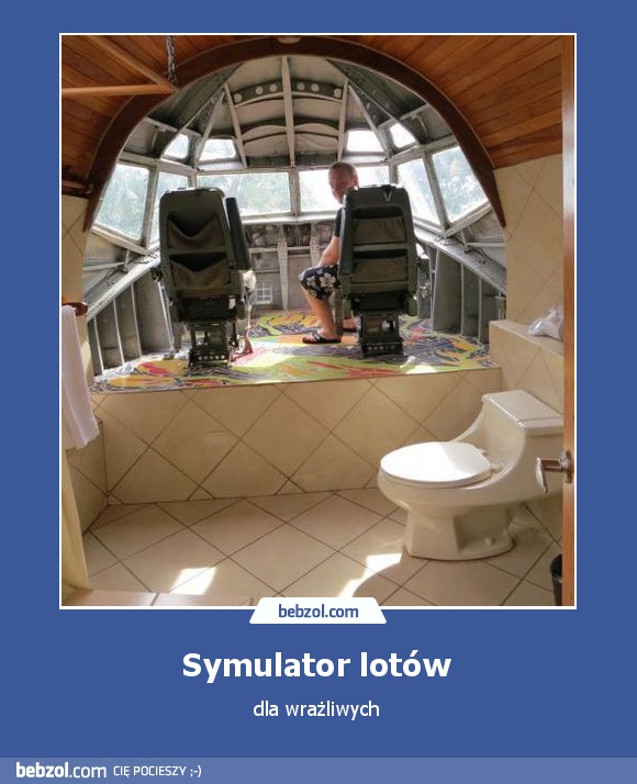 Symulator lotów 