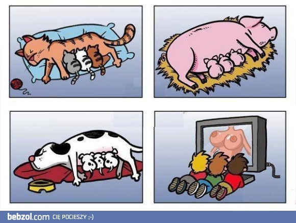 Każdy według potrzeb