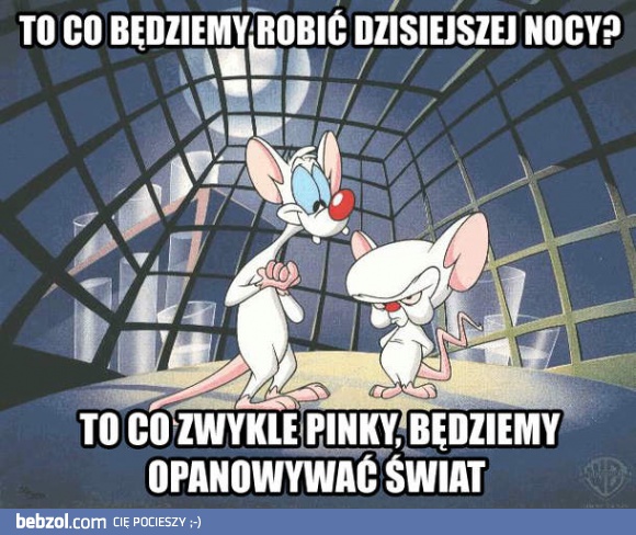 Co będziemy robić dzisiejszej nocy?