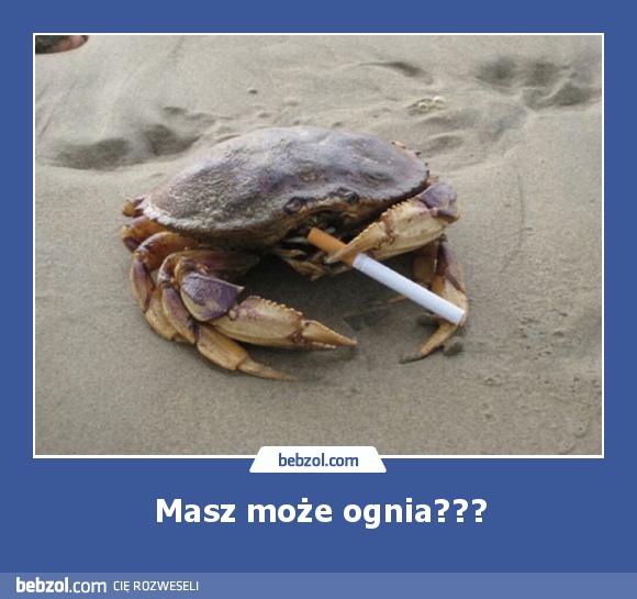 Masz może ognia???