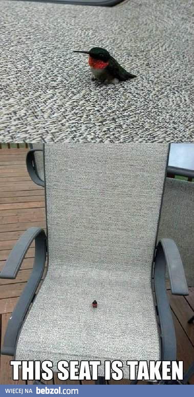 To siedzenie jest zajęte!