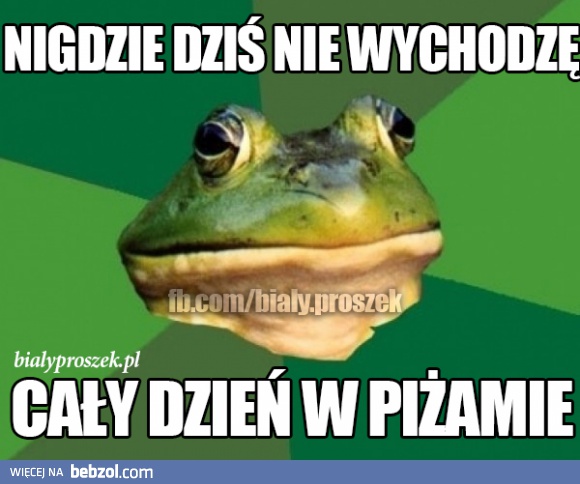 cały dzień