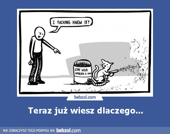 Teraz już wiesz dlaczego...