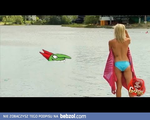 Dziewczyna, zagubiony biustonosz i rekin