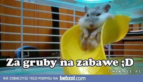 Za gruby