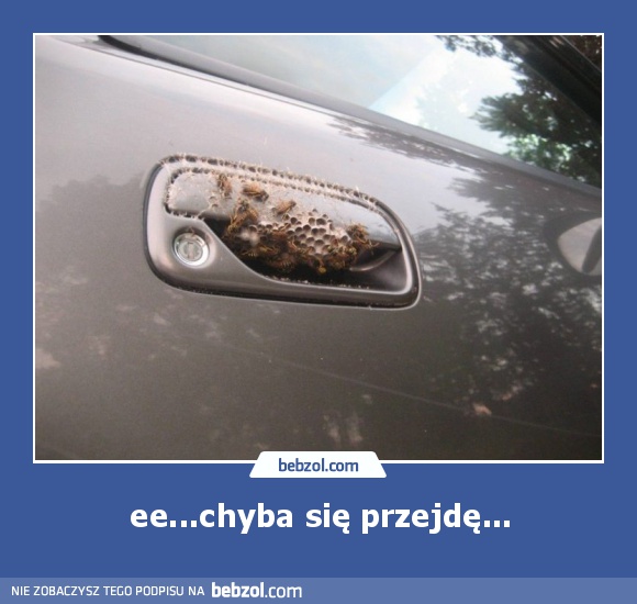 ee...chyba się przejdę...