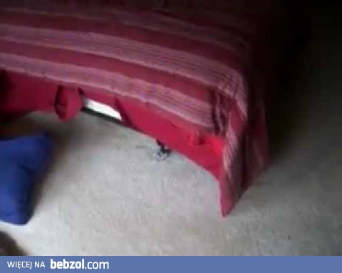 Kąpiel czy spacerek?