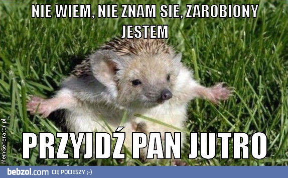 Nie wiem, nie znam się, zarobiony jestem!