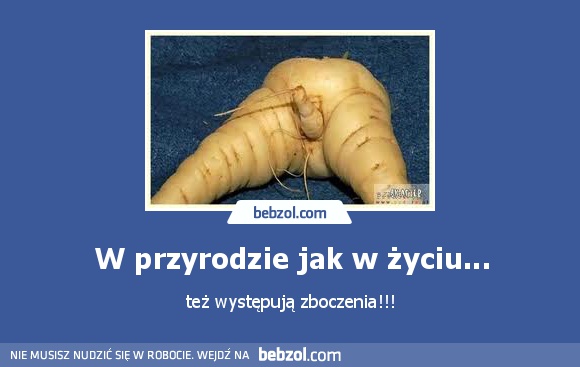 W przyrodzie jak w życiu...