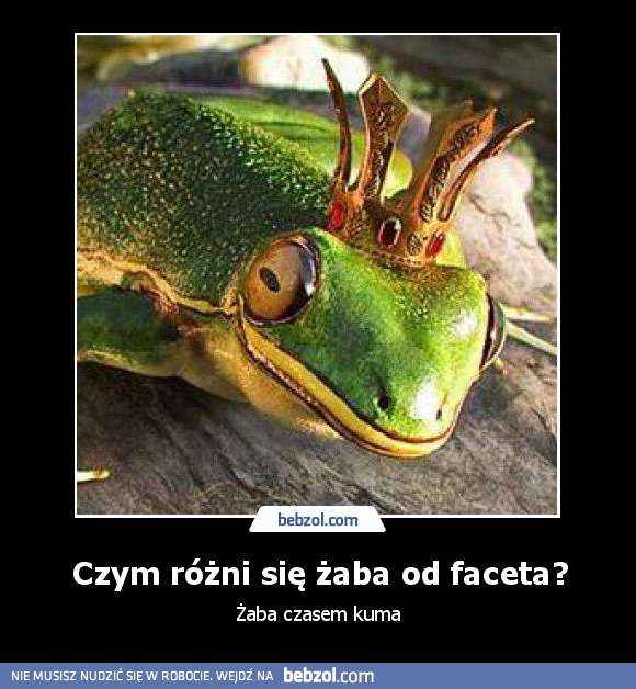 Czym różni się żaba od faceta?