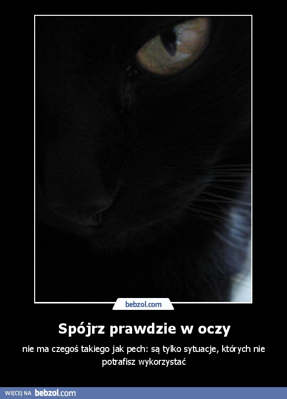 Spójrz prawdzie w oczy