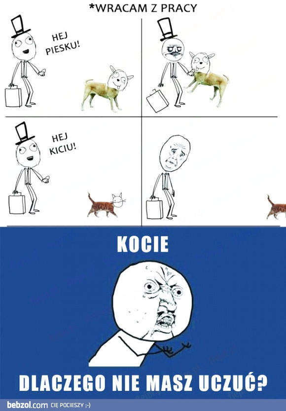 Kocie!