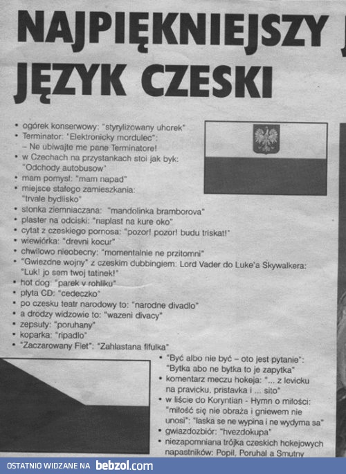 Język czeski