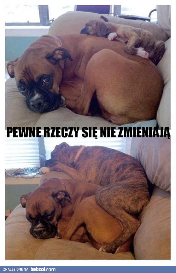 Siła przyzwyczajenia