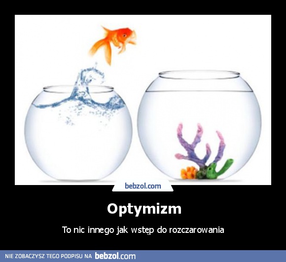 Optymizm