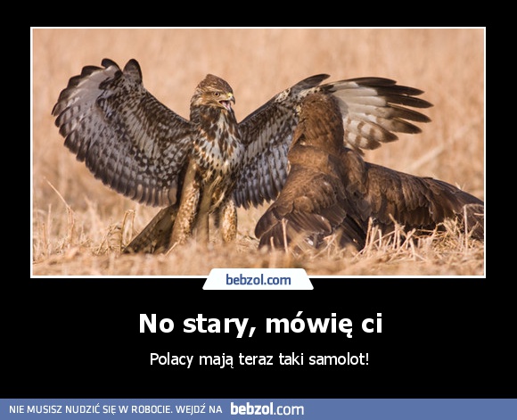 No stary, mówię ci