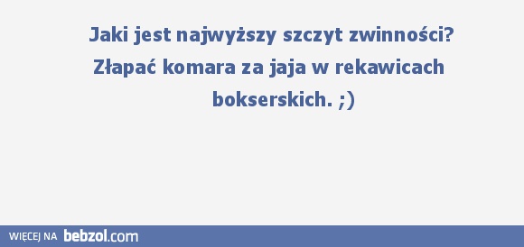 Szczyt zwinności...