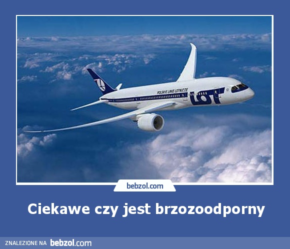 Ciekawe czy jest brzozoodporny