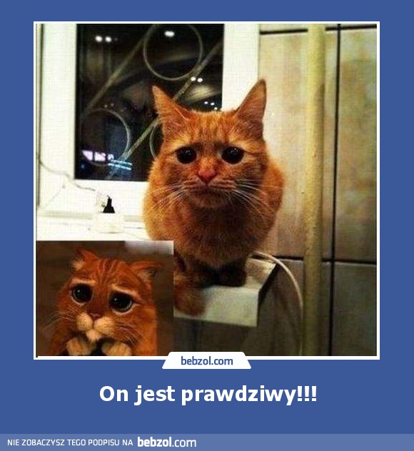 On jest prawdziwy!!!