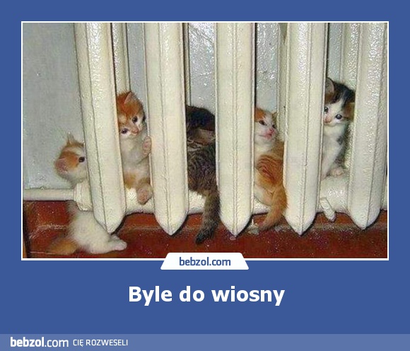 Byle do wiosny