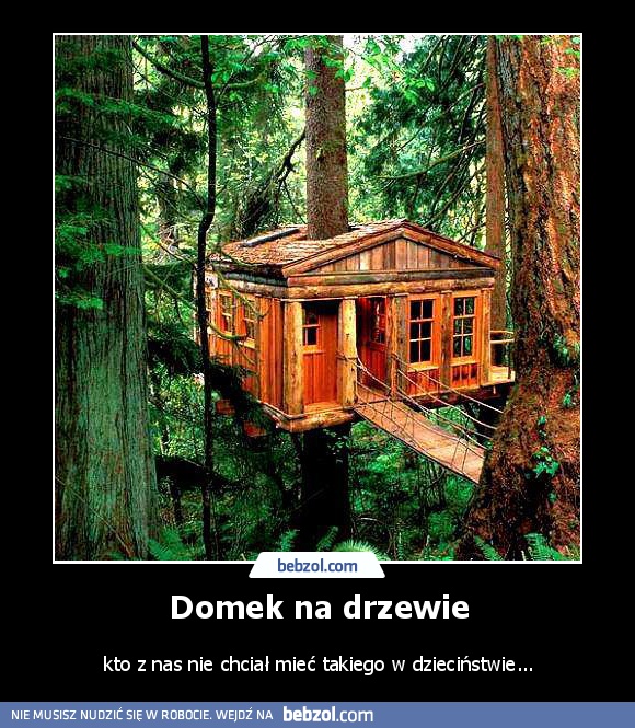 Domek na drzewie