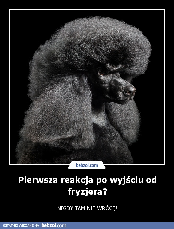 Pierwsza reakcja po wyjściu od fryzjera?