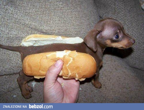 HotDog