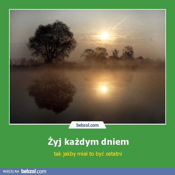 Żyj każdym dniem