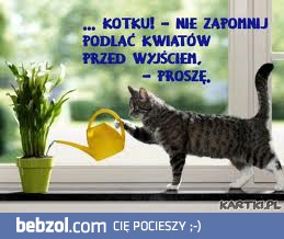 Kotku proszę  ;*