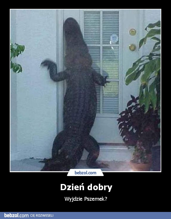 Dzień dobry