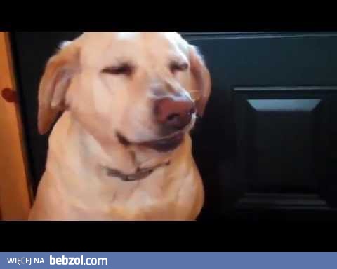 Sumienie dopadnie każdego