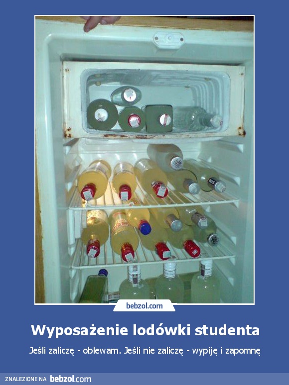 Wyposażenie lodówki studenta