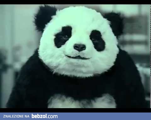 Nigdy nie mów Pandzie NIE