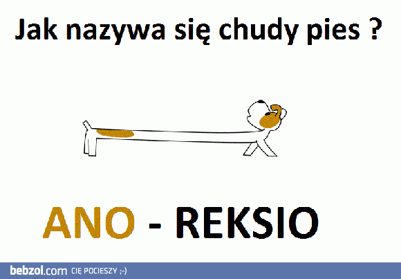 Jak nazywa się chudy pies?