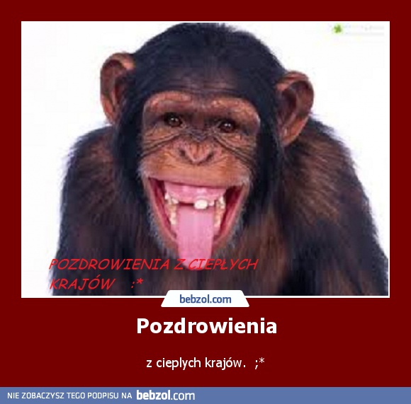 Pozdrowienia