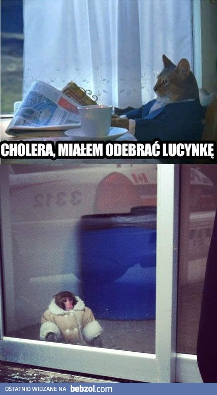 Miałem odebrać Lucynkę!