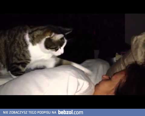 Każdego ranka to samo