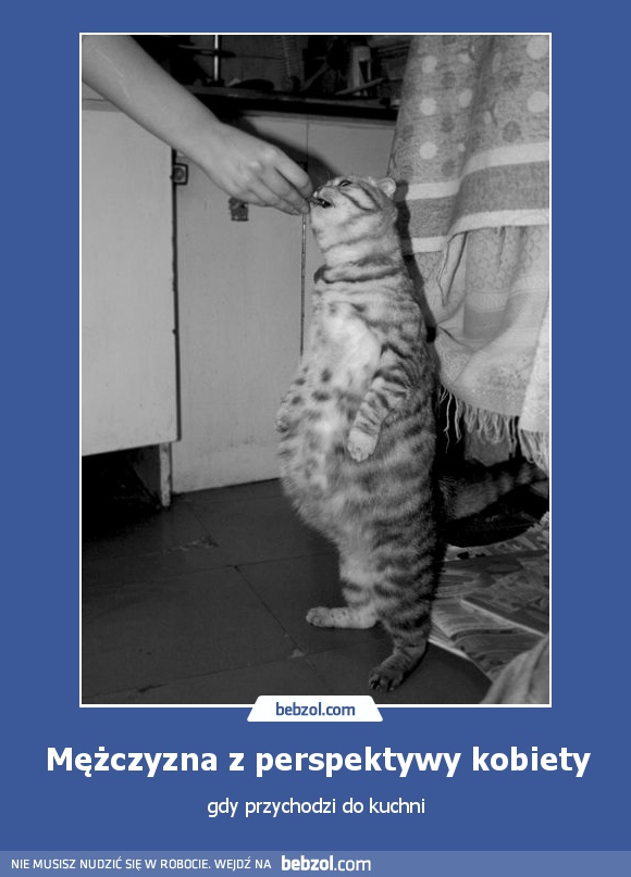 Mężczyzna z perspektywy kobiety