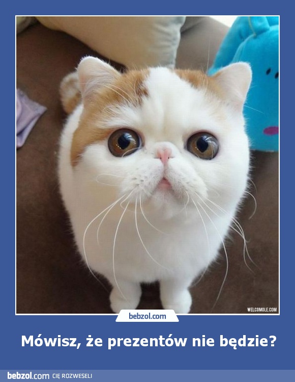 Mówisz, że prezentów nie będzie?